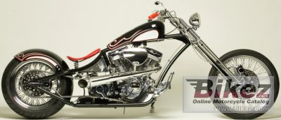 2011 Covingtons 300R photo